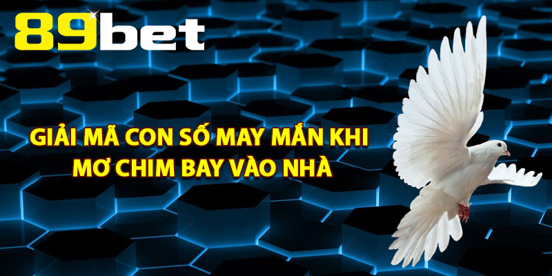 Mơ Chim Bay Vào Nhà – Tín Hiệu Về Tài Lộc Hay Xui Rủi? Mơ Chim Bay Vào Nhà – Tín Hiệu Về Tài Lộc Hay Xui Rủi?