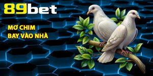 Tin Tức 89Bet – Cẩm Nang Game Khuyến Mãi và Kèo Bóng