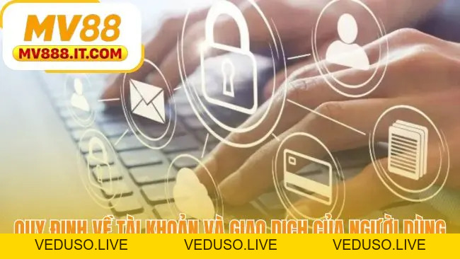 Điều Khoản Điều Kiện MV88 - Thỏa Thuận Pháp Lý Chính Thức