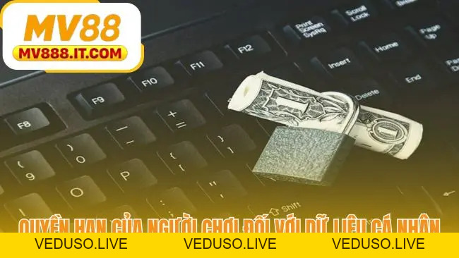 Chính Sách Bảo Mật MV88 - Cam Kết An Toàn Dữ Liệu Chính Thức