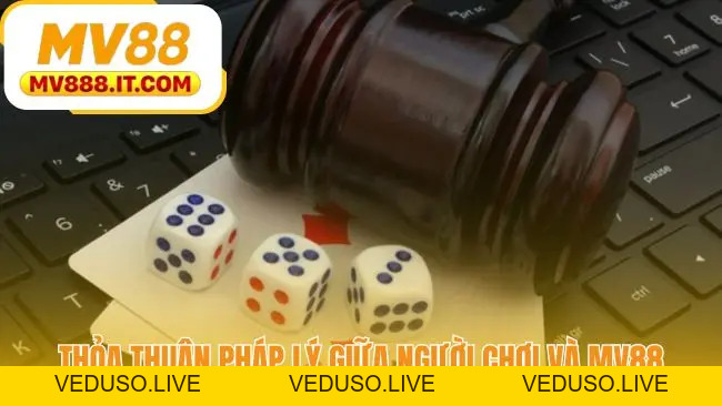 Điều Khoản Điều Kiện MV88 - Thỏa Thuận Pháp Lý Chính Thức