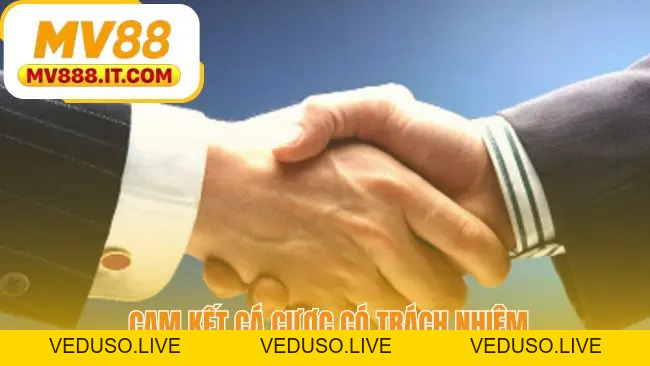 Điều Khoản Điều Kiện MV88 - Thỏa Thuận Pháp Lý Chính Thức